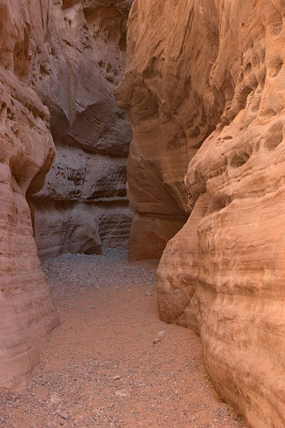 istock Slot Canyon Valley of Fire Landscape 92492821