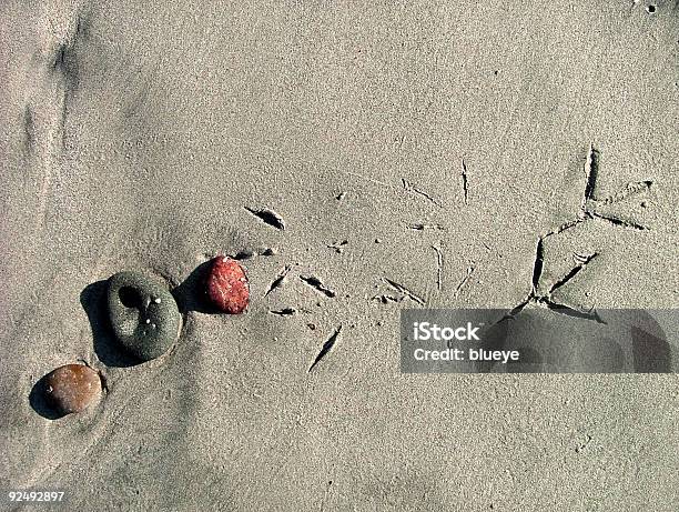 Beach Haiku Stock Photo - Download Image Now - Beach, Bird, Coastline