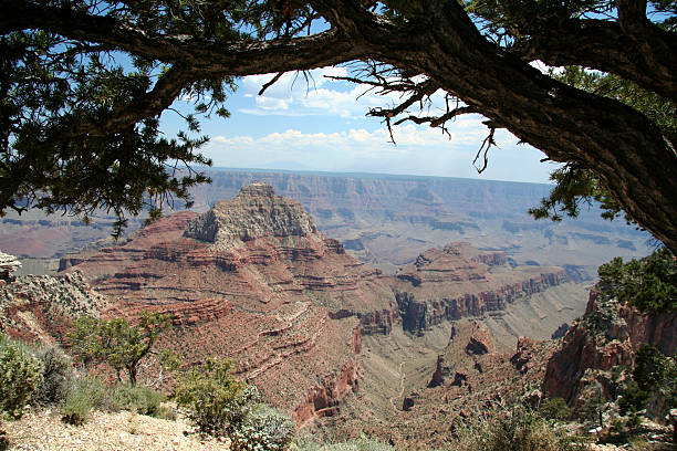 istock Grand Canyon Overlook 92493187