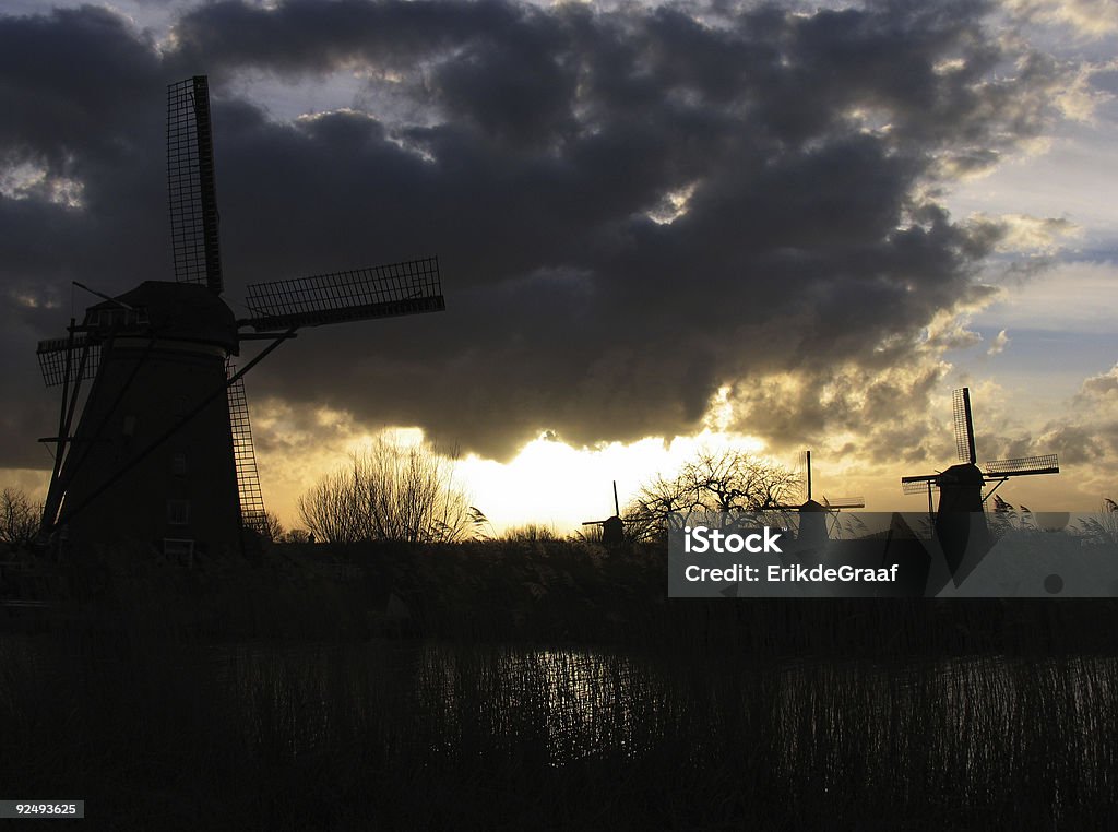 Dutch moulins de Kinderdijk 3 - Photo de Aile d'animal libre de droits