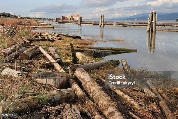 Os Resíduos - Fotografias de stock e mais imagens de Ao Ar Livre - Ao Ar Livre, Canadá, Colúmbia Britânica