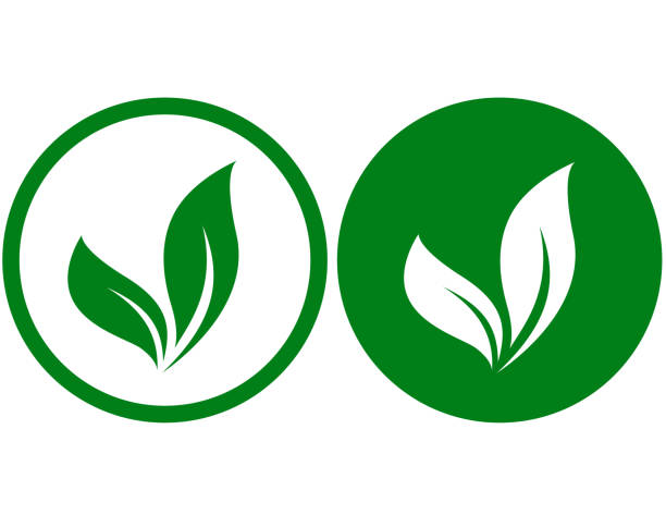 dwie ikony z liśćmi - jedzenie wegetariańskie stock illustrations