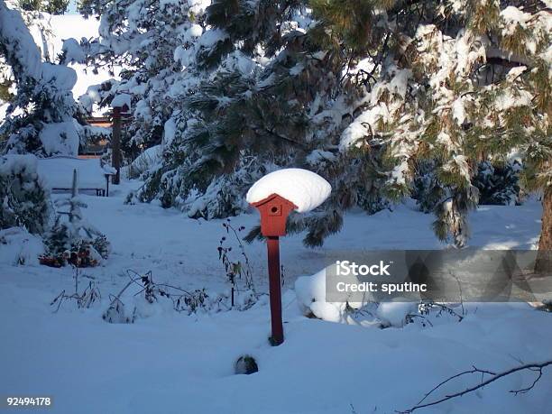 Snow Cap Stock Photo - Download Image Now - Animal Family, Avalanche, Bird