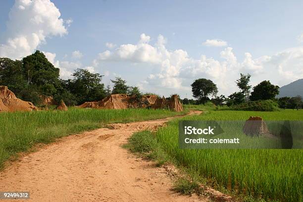 Erosione Del Sito 1 - Fotografie stock e altre immagini di Agricoltura - Agricoltura, Ambientazione esterna, Argilla