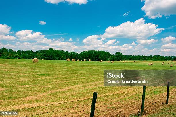 Rolling Green Pasture With Hay Bales Stock Photo - Download Image Now - Agriculture, Bale, Blue