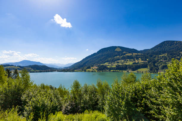 istock alpsee lake panorama in bavaria germany 924947536