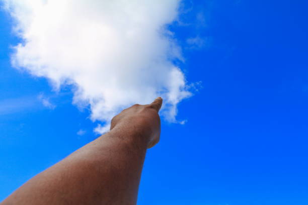 Woman palms under blue sky.