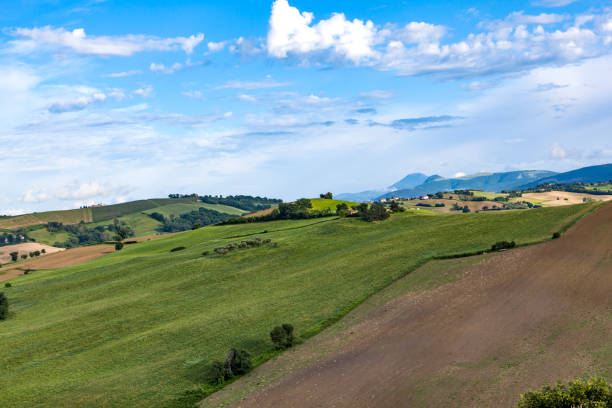 istock panoramic view over landscape in marche, italy 924948662