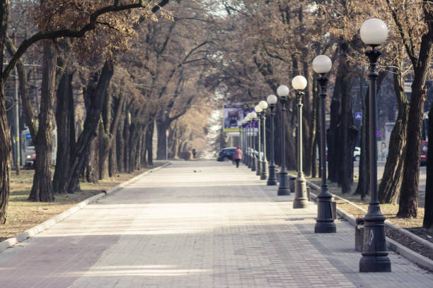 istock 4 Seasons - alley in winter without snow 924955082