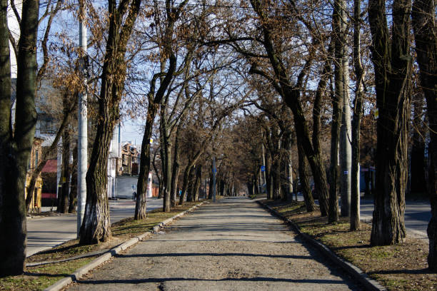 istock 4 Seasons - alley in winter without snow 924955214