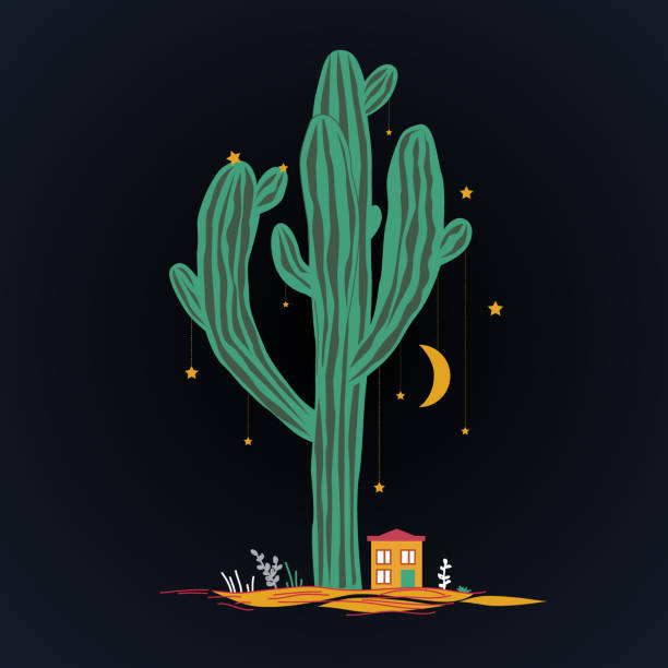 ilustrações, clipart, desenhos animados e ícones de ilustração bonita com alta saguaro, casa pequena, estrelas e lua pendurada no cacto. paisagem de fadas mexicano, impressão para cartões, ano novo ou têxteis. - sonoran desert illustrations