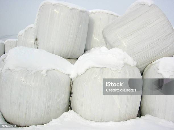 Bales Stockfoto und mehr Bilder von Agrarbetrieb - Agrarbetrieb, Auswechselspieler, England