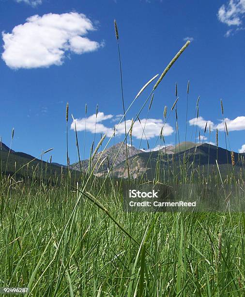 Foto de Montanhas e mais fotos de stock de Azul - Azul, Baixo - Posição, Beleza natural - Natureza