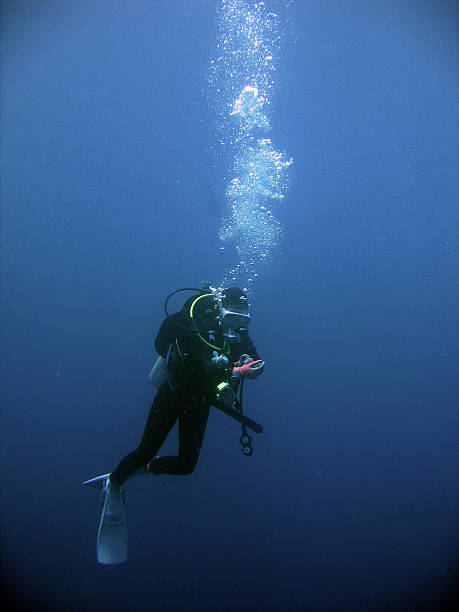 A monotone backlit image with a silhouette of a scuba diver taking a picture underwater with a camera and sunrays shining in