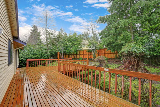istock Backyard view of a spacious two story home with walk out deck 924976686