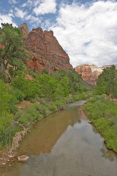 istock Zion National Park Virgin River 92497875