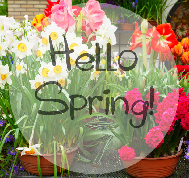 istock flowers in  sho 924986344