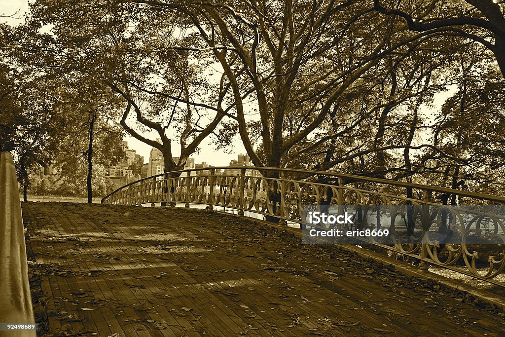 Gothic ponte - Foto de stock de Central Park - Manhattan royalty-free