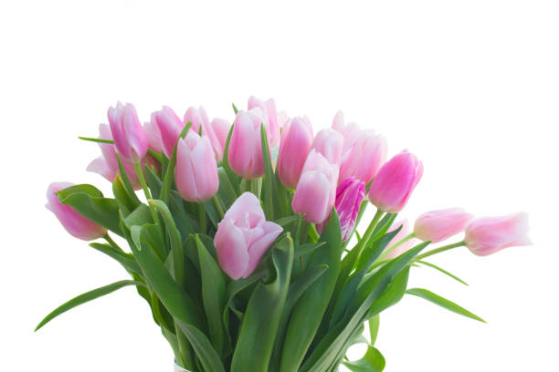 istock Bouquet of tulips flowers 924988792