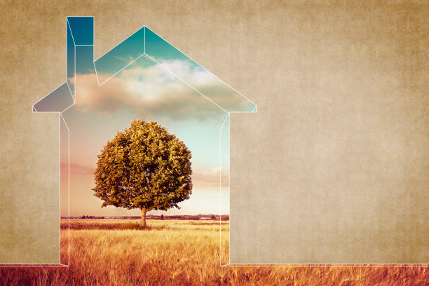 istock Through a house wall you see a field with a lone tree - concept image 924988904