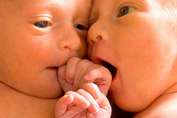 People - Preemie Twin Baby Girls Snuggle Up stock photo