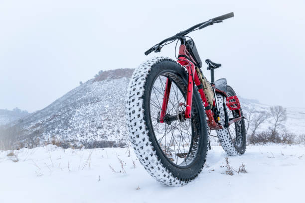 istock mountain fat bike in a snow blizzard 924990836