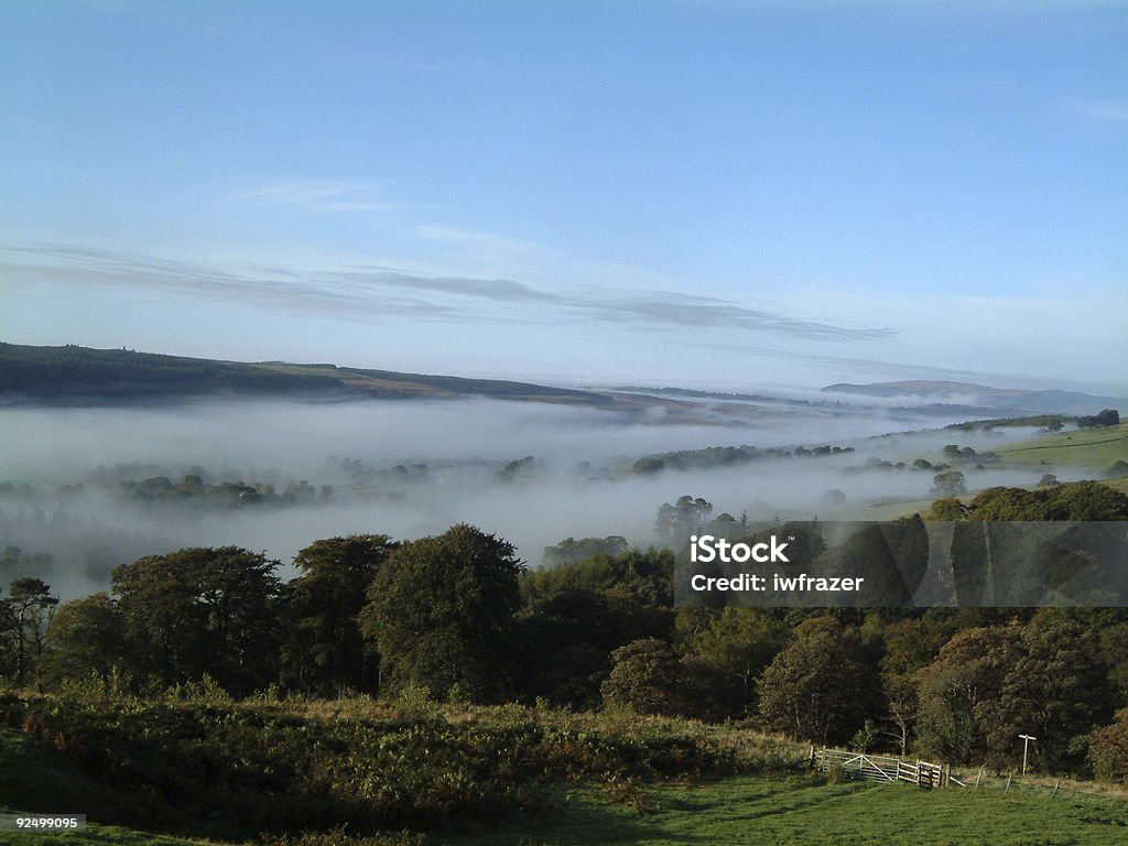 low mist morning  Autumn Stock Photo