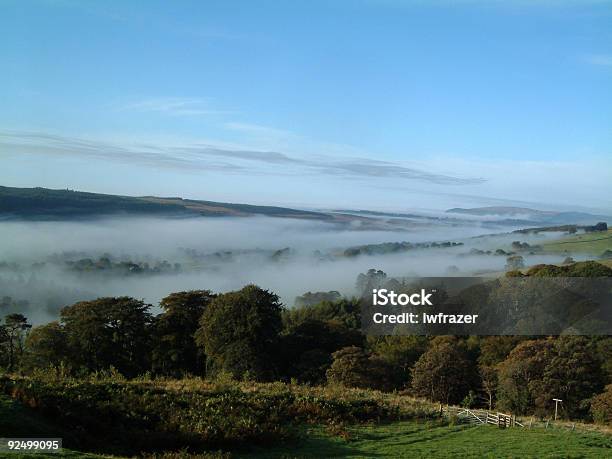 Low Mist Morning Stock Photo - Download Image Now - Autumn, Blue, Color Image