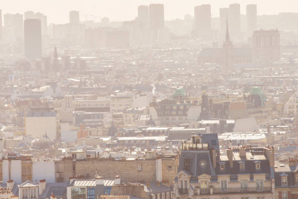 istock Roofs of Paris 924991112
