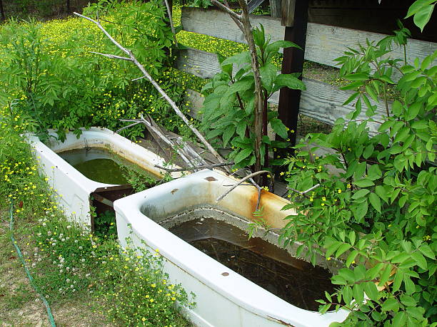 istock redneck hot tub 1 92499237