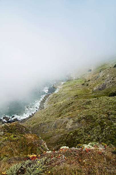 coastline in fog stock photo