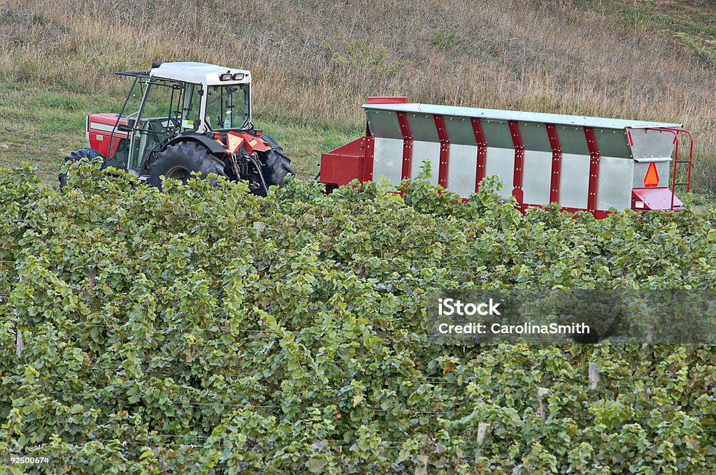 Vignoble-tracteur-Hopper-Vignoble - Photo de Agriculture libre de droits