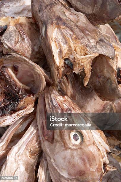 Bacalhau Cabeças Secagem Do Sol - Fotografias de stock e mais imagens de Agoirento - Agoirento, Ampliação, Animal