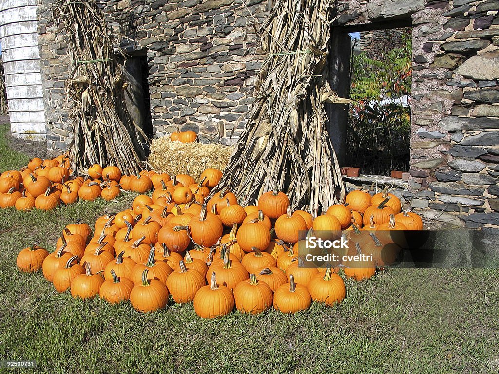 Pumpkins  Autumn Stock Photo