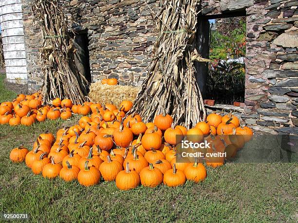Pumpkins Stock Photo - Download Image Now - Autumn, Barn, Bomb Shelter