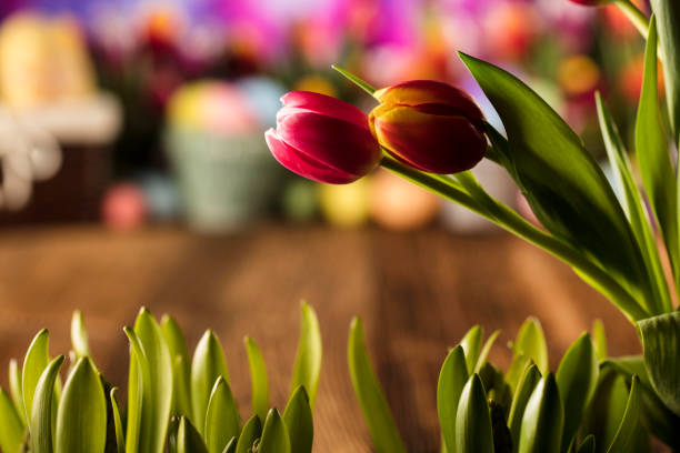 Easter eggs. Colorful tulips. Rustic wooden table. Shallow depth of focus. Bokeh background. Place for typography. Easter theme.
