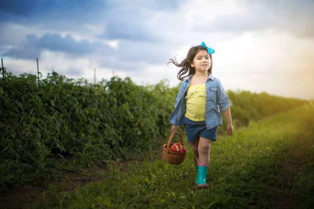 istock Little girl on vegetable field 925012834