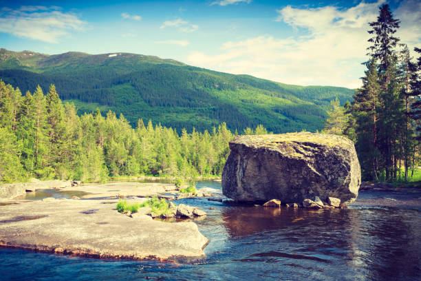 Beautiful view of norwegian mountain river in summer.