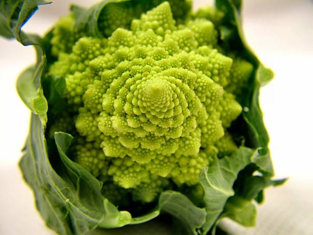 Baby Romanesco Face  fractal plant cabbage textured stock pictures, royalty-free photos & images