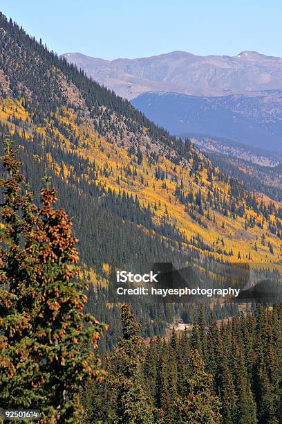 Cambiar Aspens Foto de stock y más banco de imágenes de Aire libre - Aire libre, Cambiar de forma, Cambio