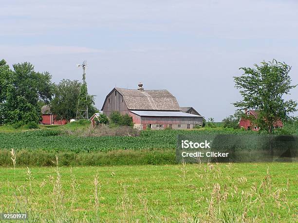 Farmstead - Fotografias de stock e mais imagens de Ao Ar Livre - Ao Ar Livre, Campo agrícola, Casa