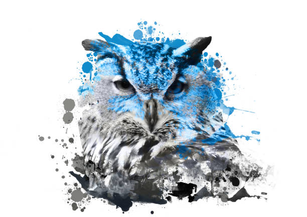 istock owl with abstract paint on white background 925020378