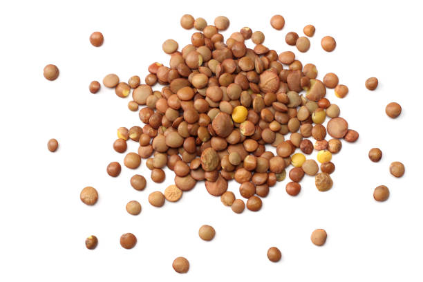 istock Pile lentil isolated on white background. Top view. 925021584