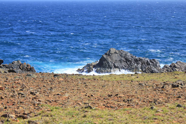 istock Volcanic rock coast of Aruba island 925022032