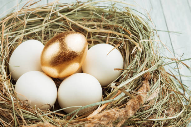 istock One gold and many ordinary eggs in the hay nest. 925024886