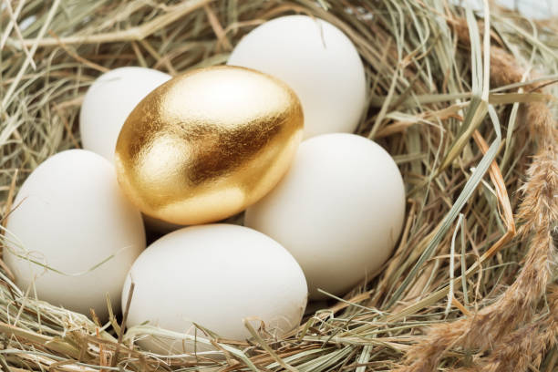 istock One gold and many ordinary eggs in the hay nest. 925024892