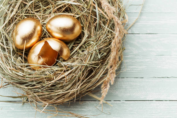 istock Golden eggs in the nest, one broken egg 925024952