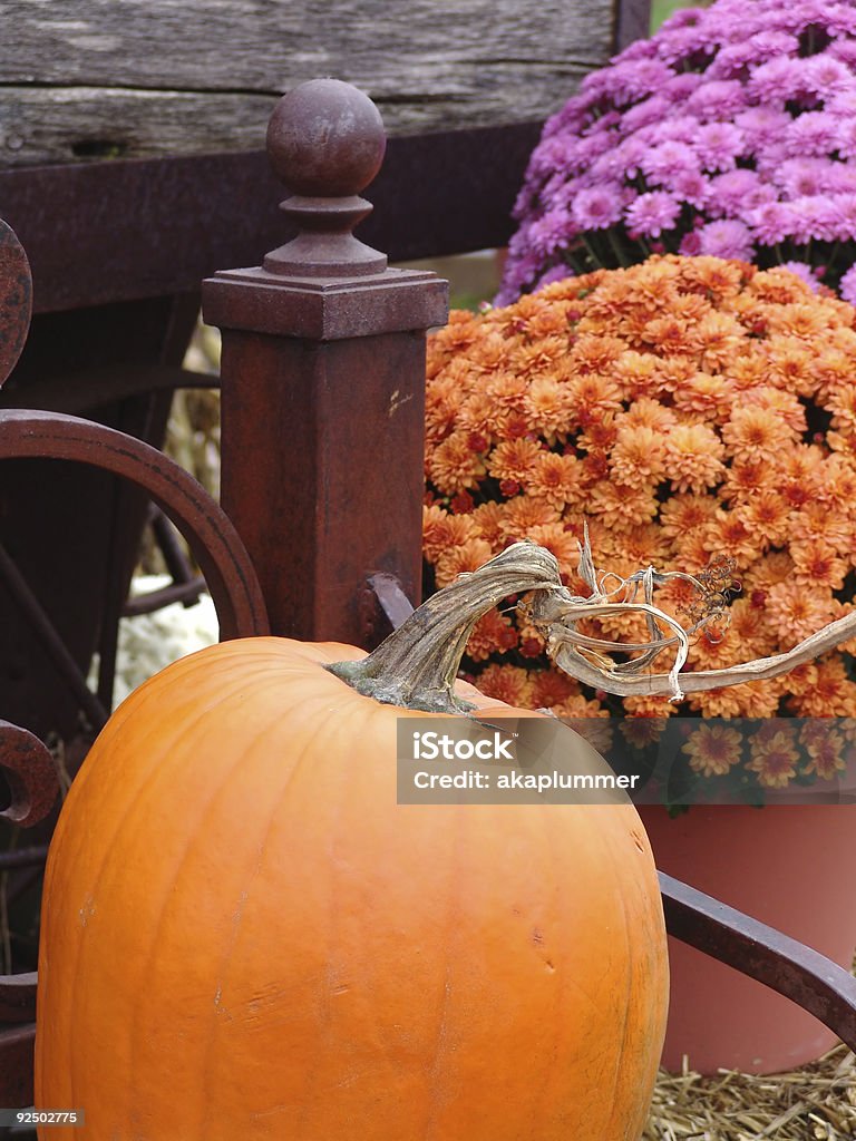 Pumpkin on a bench Bench Stock Photo