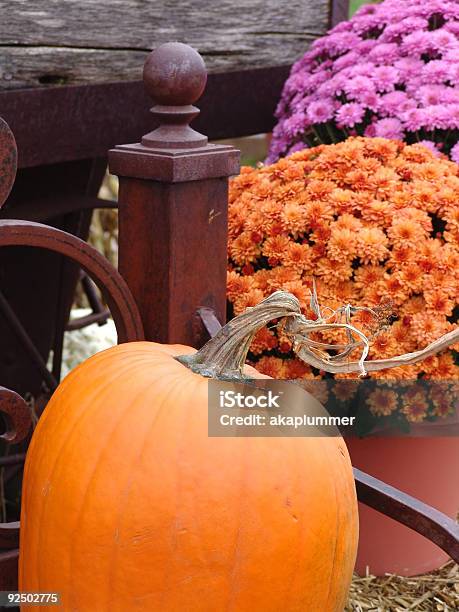 Pumpkin On A Bench Stock Photo - Download Image Now - Bench, Celebration, Choice