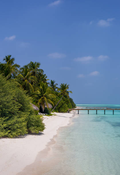 istock Blue lagoon and tropical island in Maldives 925030008